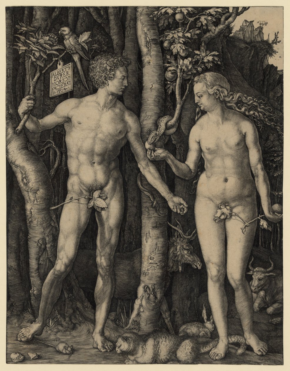 Adamo ed Eva da Albrecht Dürer