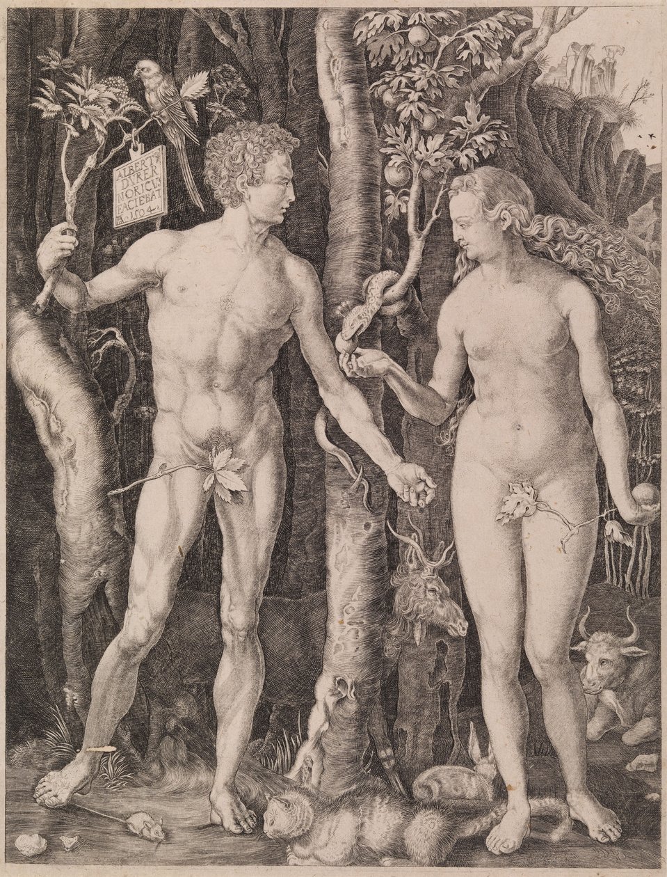 Adamo ed Eva da Albrecht Dürer