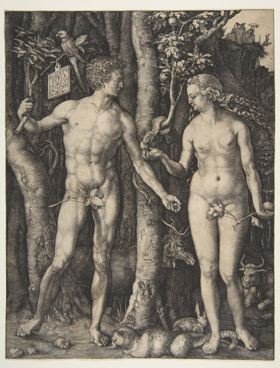 Adamo ed Eva da Albrecht Dürer