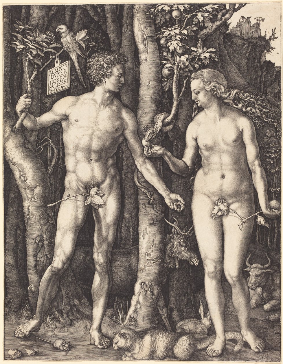 Adamo ed Eva da Albrecht Dürer