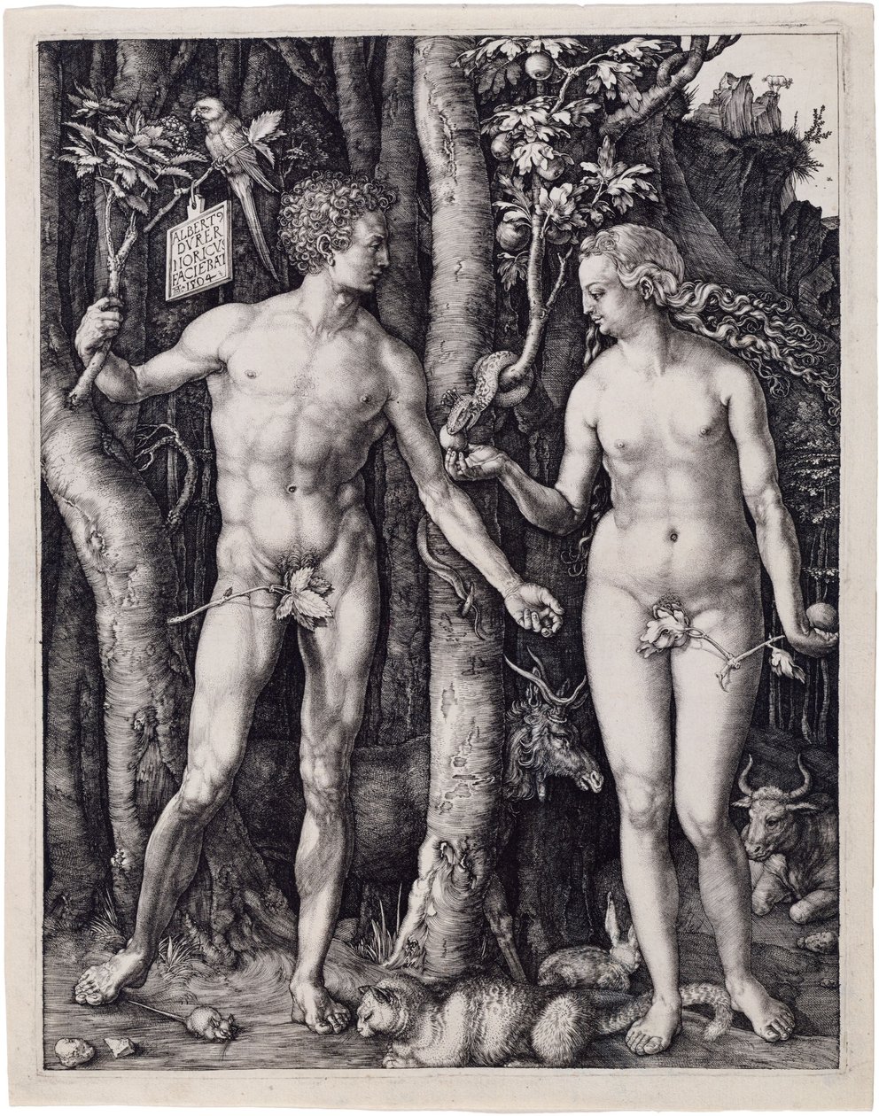 Adamo ed Eva da Albrecht Dürer