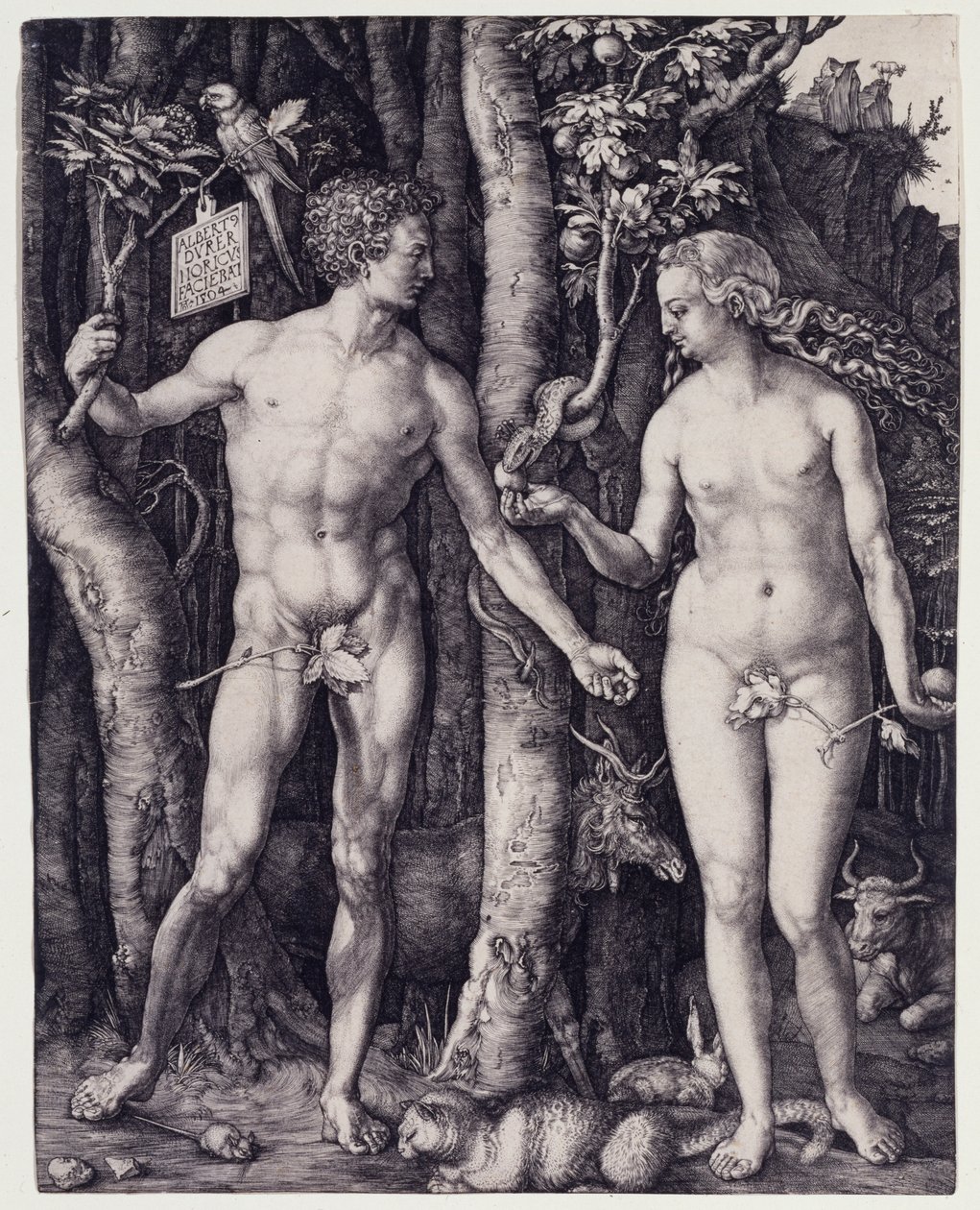 Adamo ed Eva da Albrecht Dürer