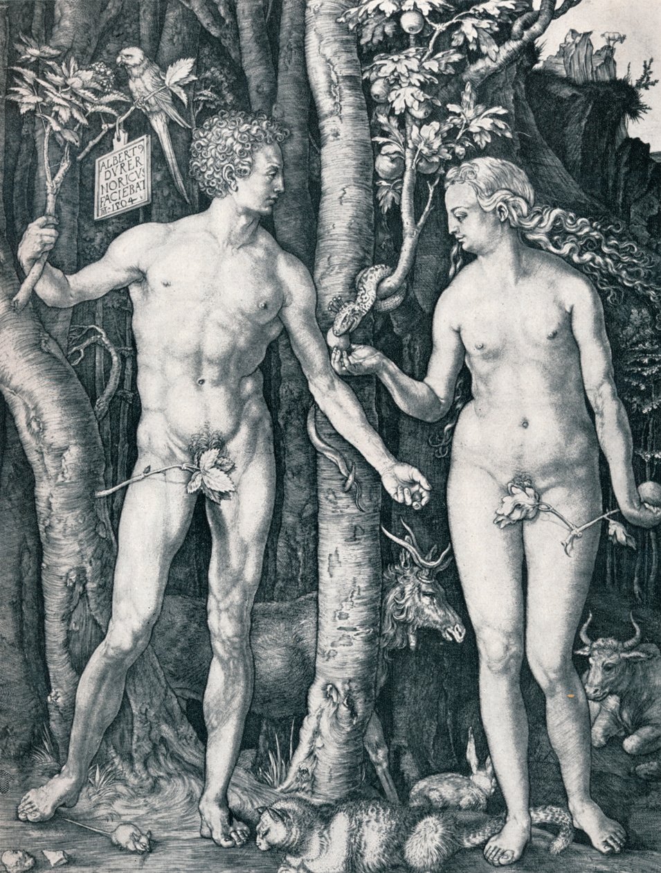 Adamo ed Eva, 1504 1906 da Albrecht Dürer
