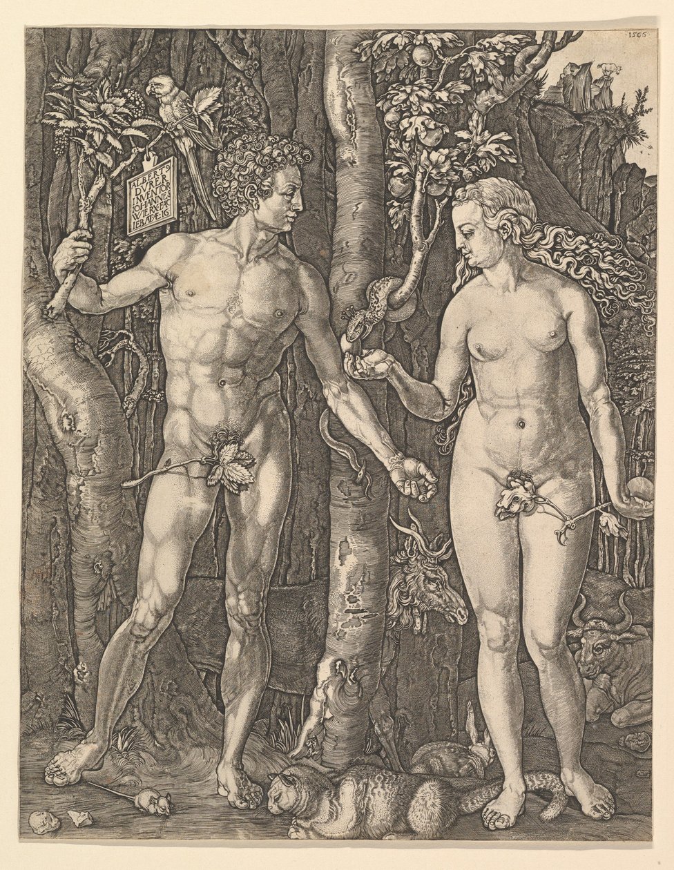 Adamo ed Eva, 1566 da Albrecht Dürer