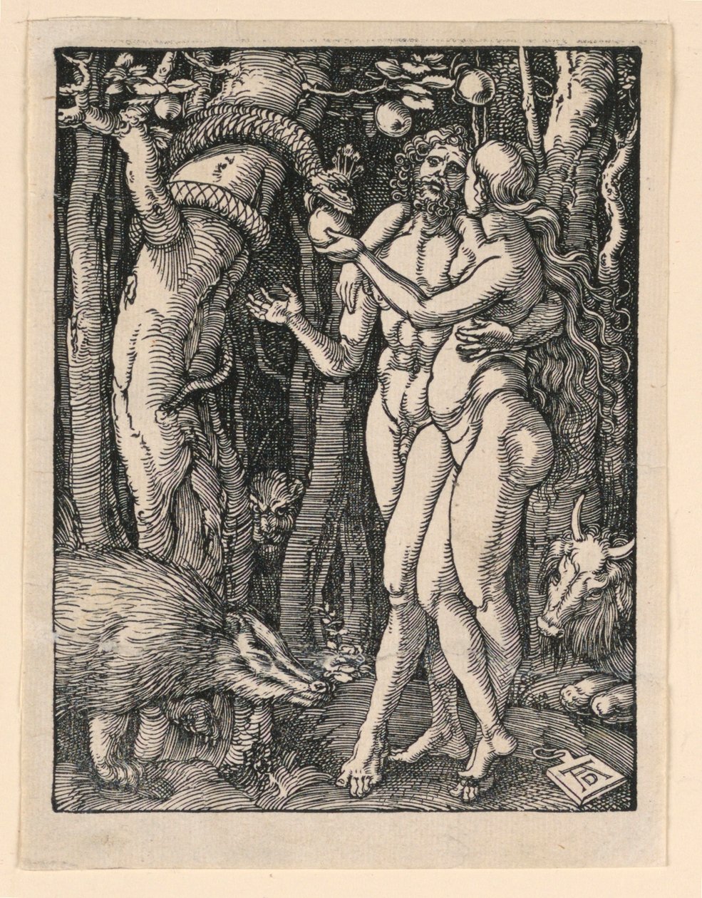 Adamo ed Eva, dalla Serie della Piccola Passione da Albrecht Dürer