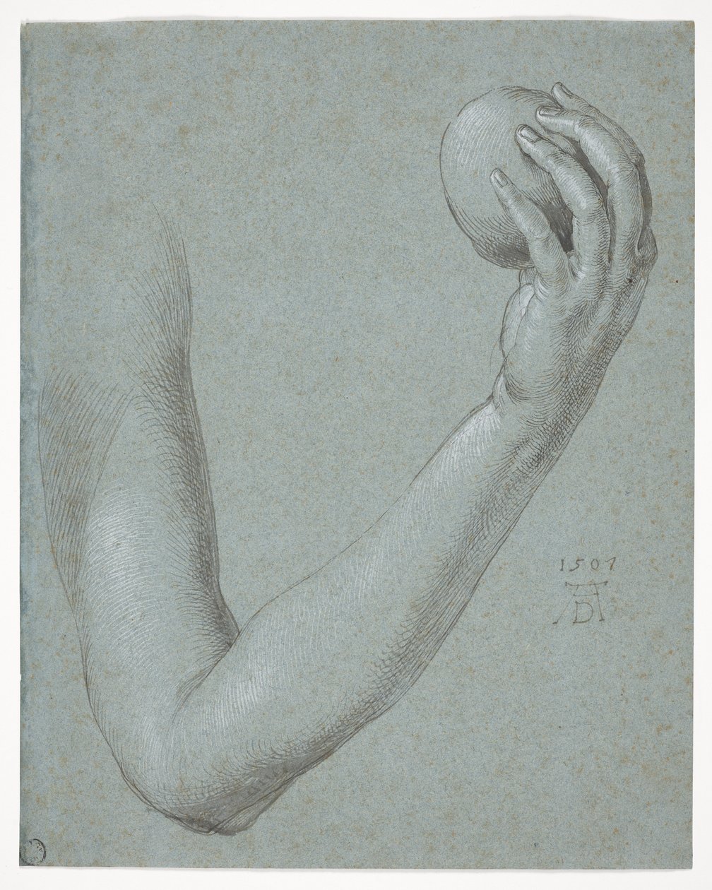 Il braccio di Eva da Albrecht Dürer