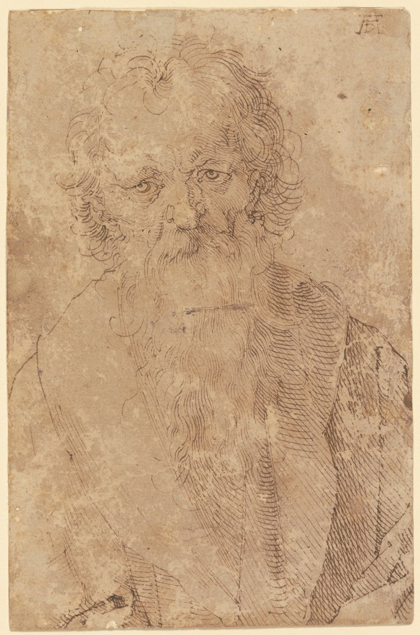 Vecchio uomo barbuto da Albrecht Dürer