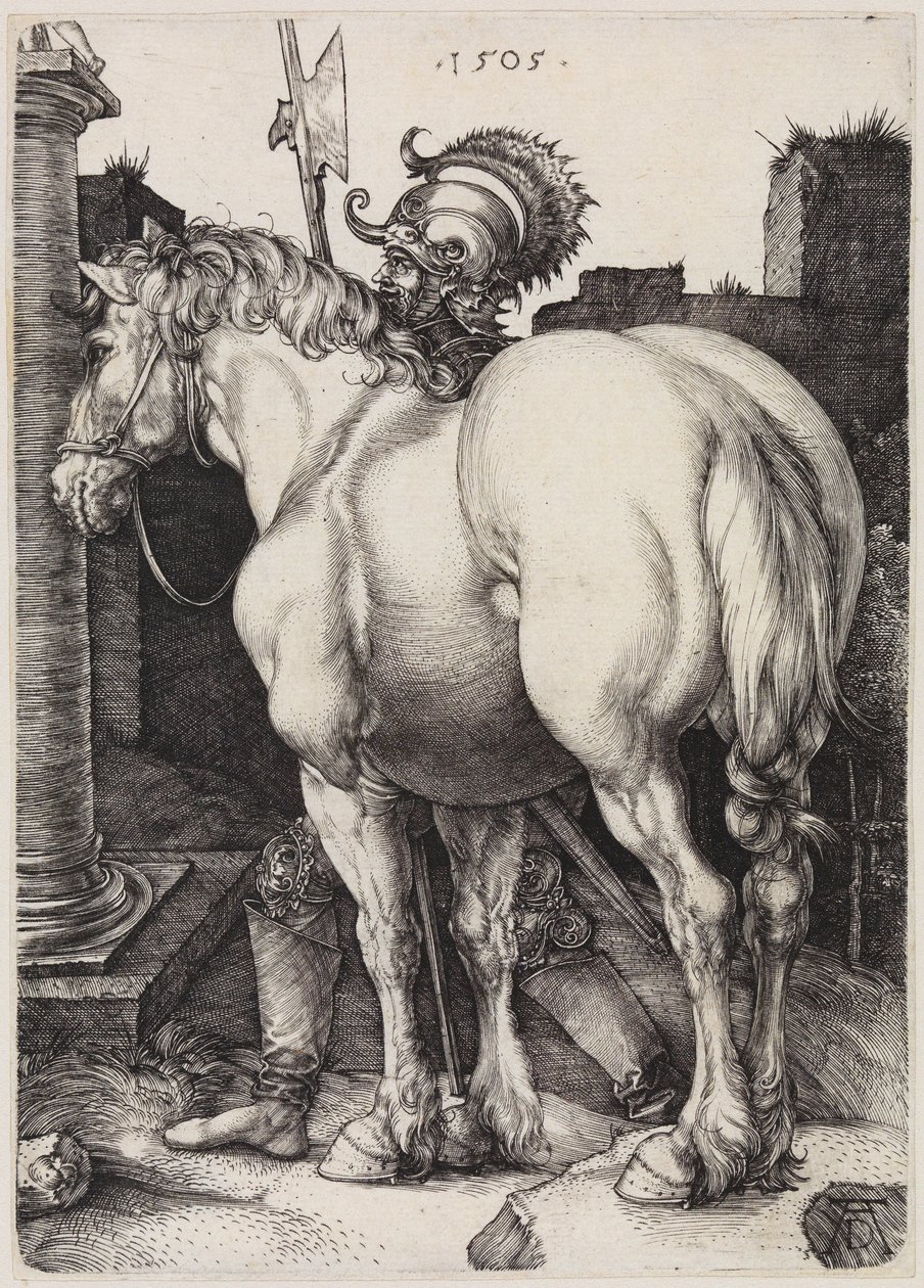 Il grande cavallo da Albrecht Dürer