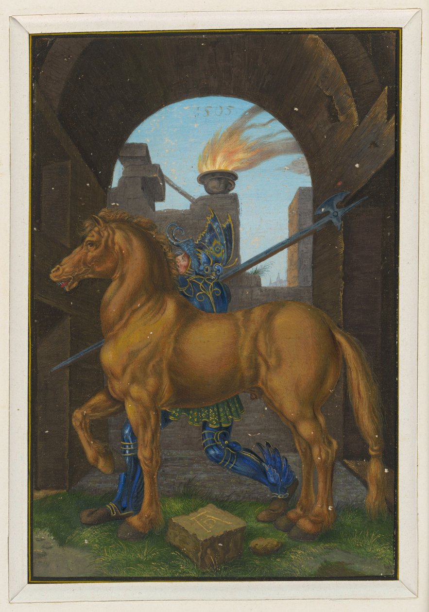 Il cavallino da Albrecht Dürer