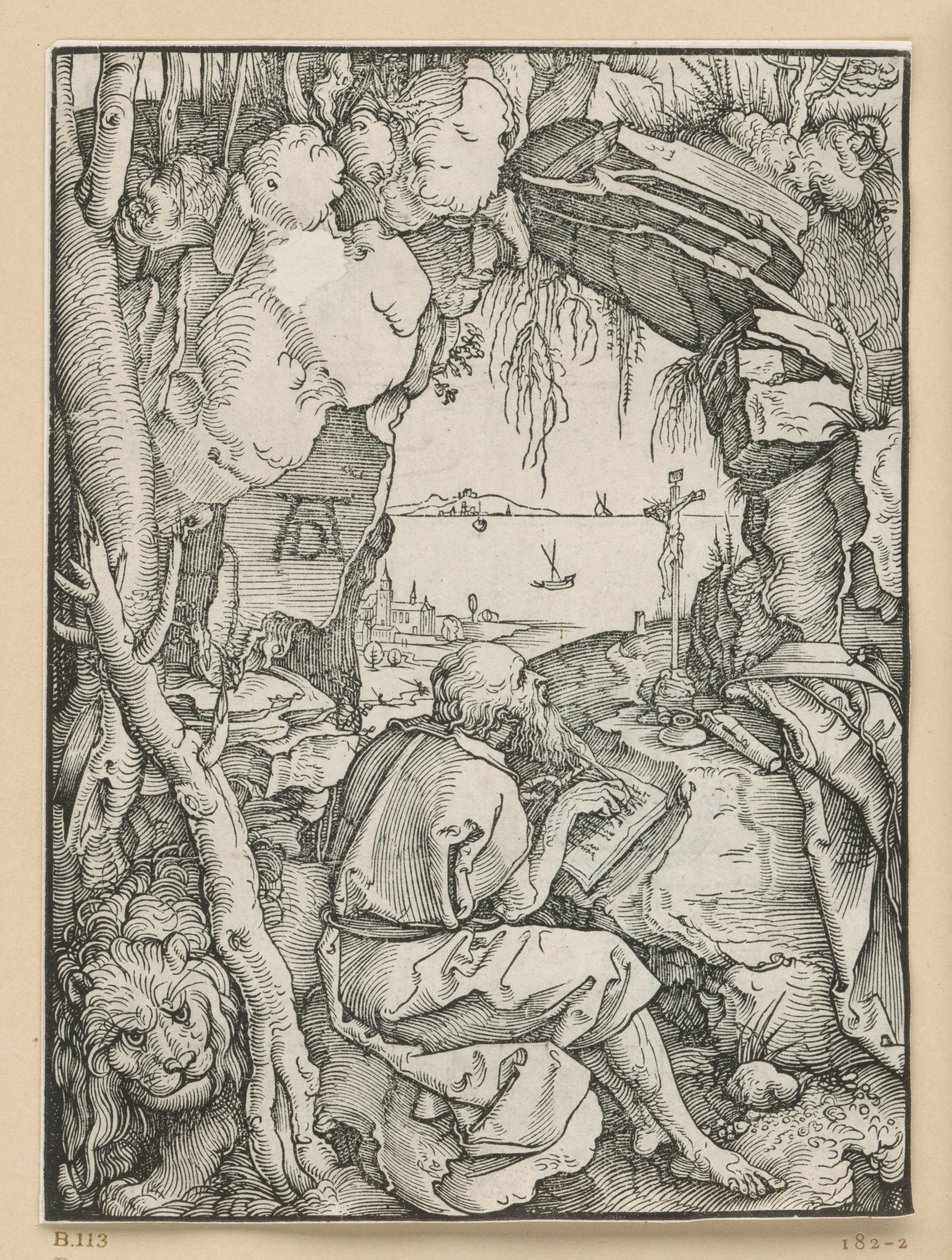 San Girolamo nella grotta rocciosa da Albrecht Dürer