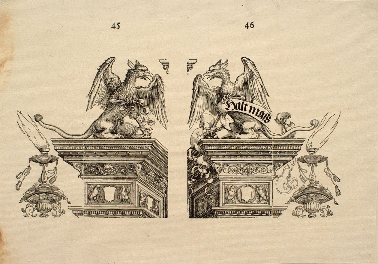 Dettaglio 45 e 46 da Albrecht Dürer