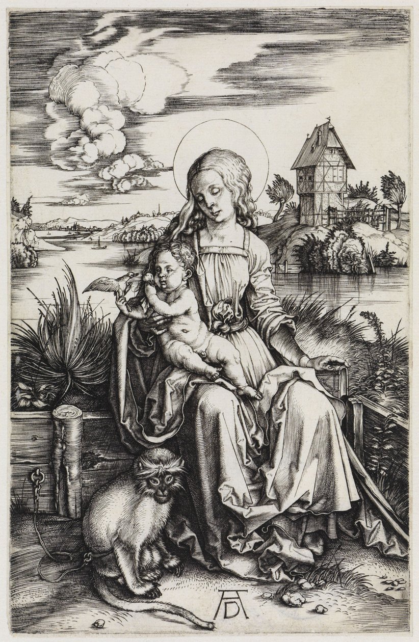 La Madonna con il cercopiteco da Albrecht Dürer