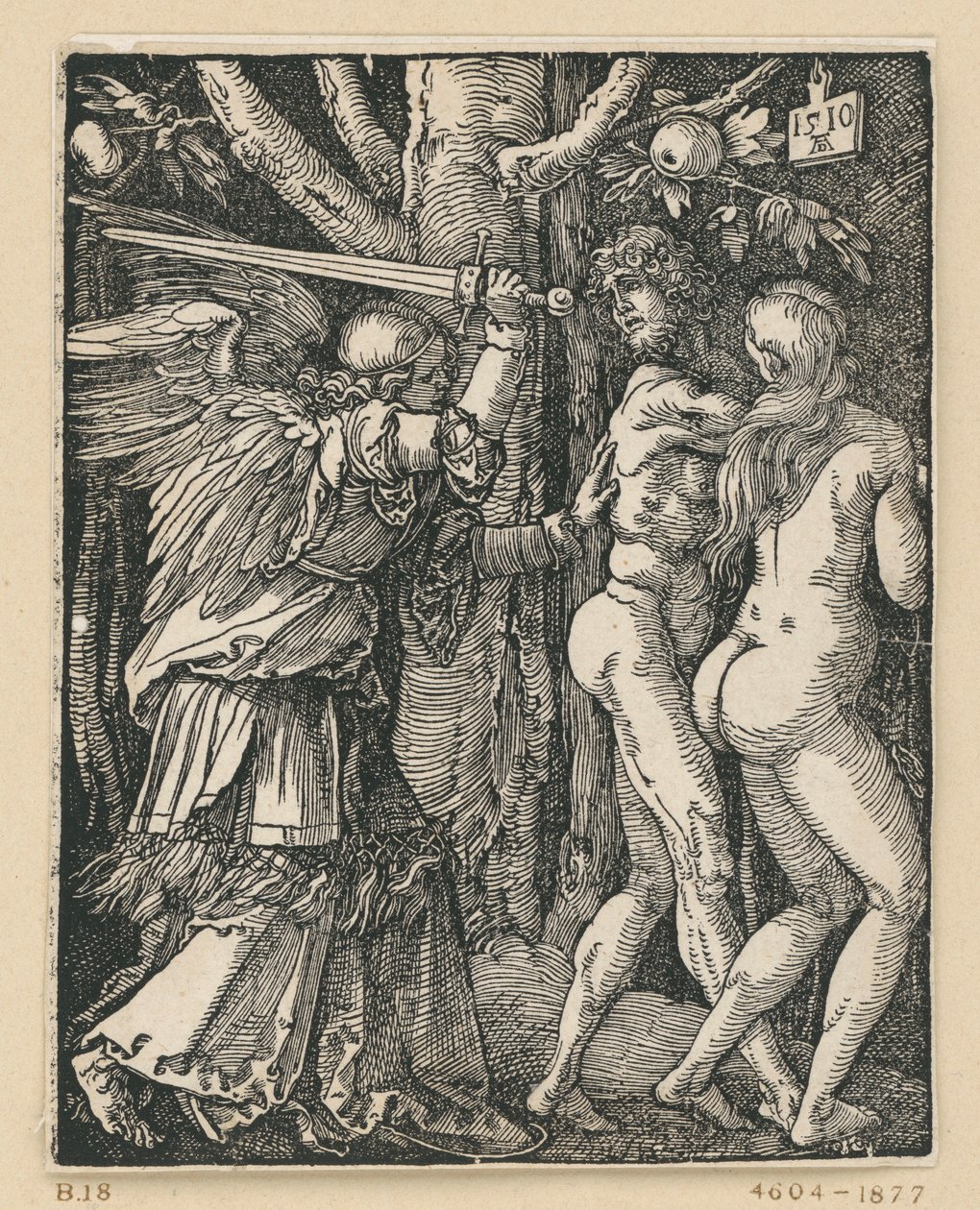 La cacciata dal Paradiso (Piccola Passione) da Albrecht Dürer