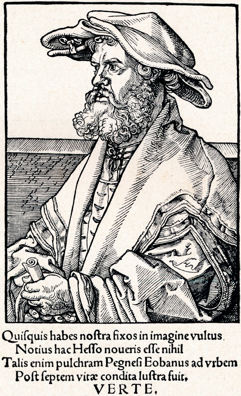 Eobanus Hesse, 1527, 1906 da Albrecht Dürer