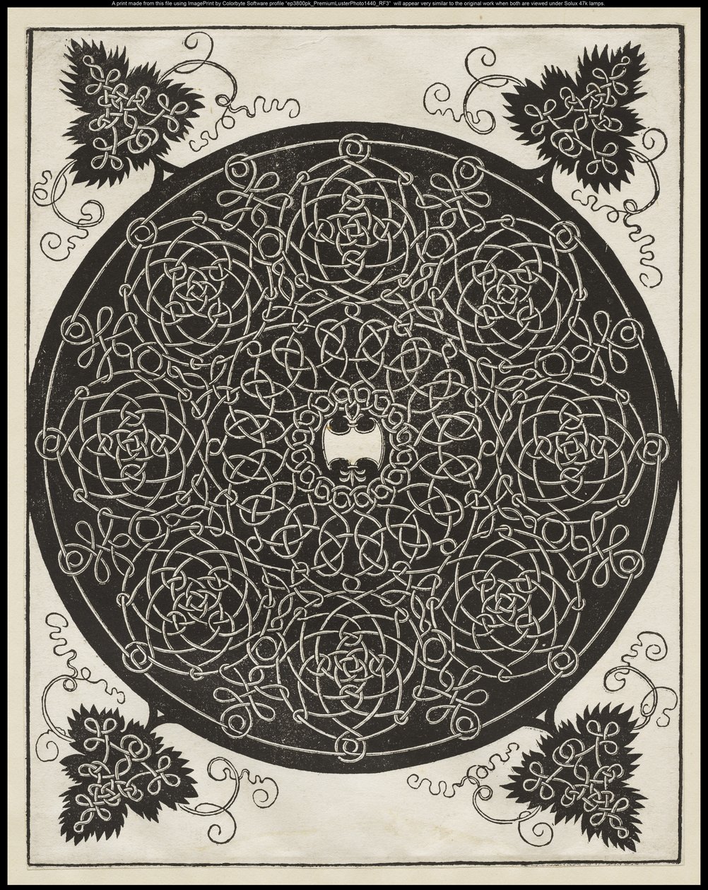 Quinto nodo, con uno scudo bianco con sei punti al centro, c.1506 da Albrecht Dürer