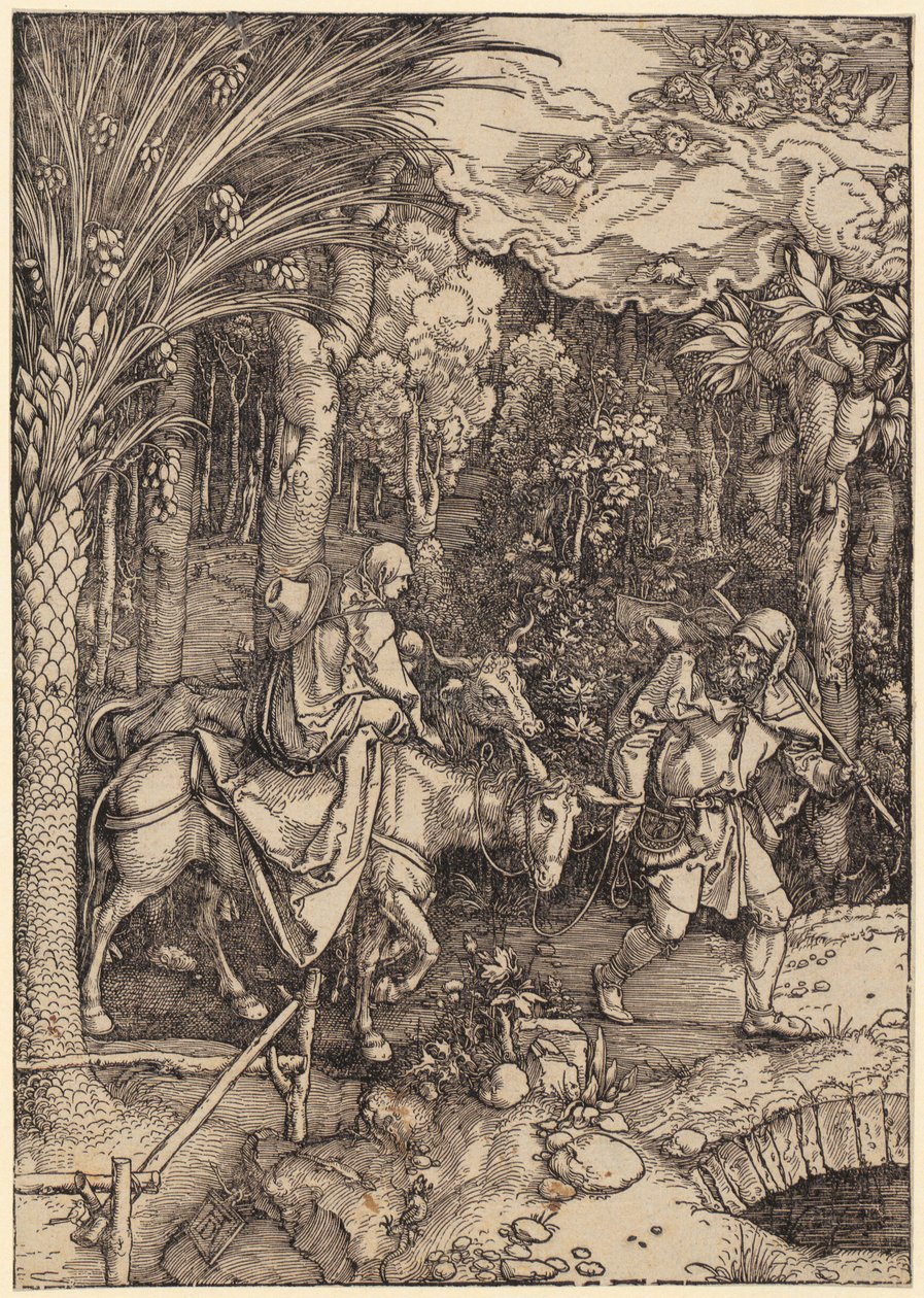 Fuga in Egitto, foglio 14 della serie "La vita di Maria" da Albrecht Dürer