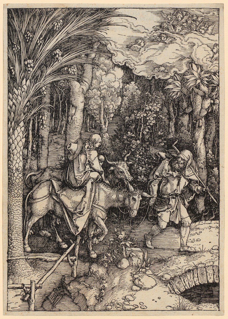 Fuga in Egitto, foglio 14 della serie "La vita di Maria" da Albrecht Dürer
