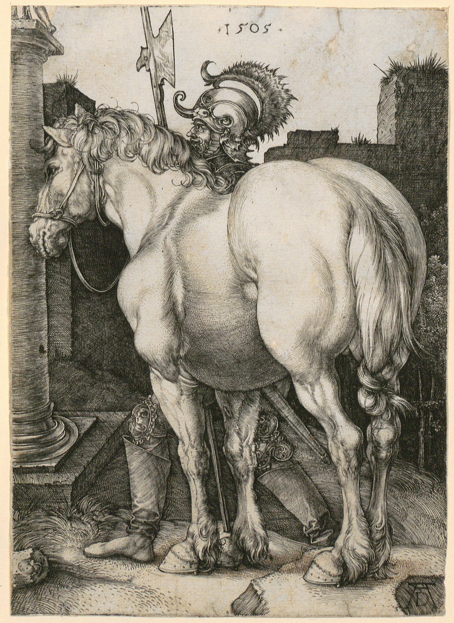 Il grande cavallo da Albrecht Dürer