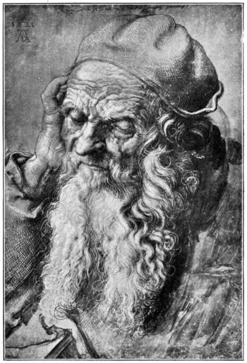 Testa di vecchio da Albrecht Dürer