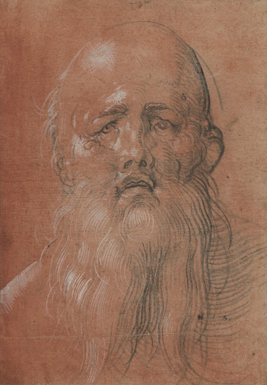 Testa di uomo barbuto da Albrecht Dürer