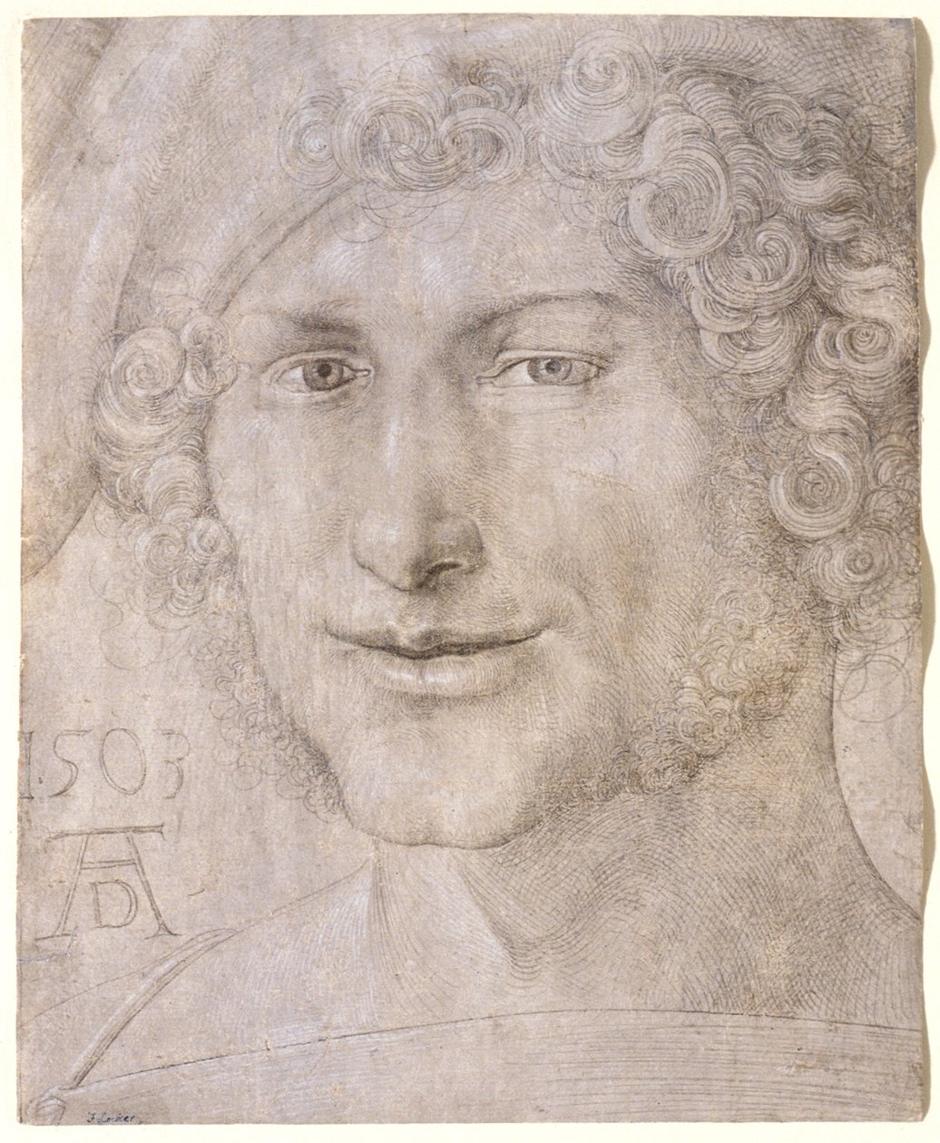 Testa di giovane uomo da Albrecht Dürer