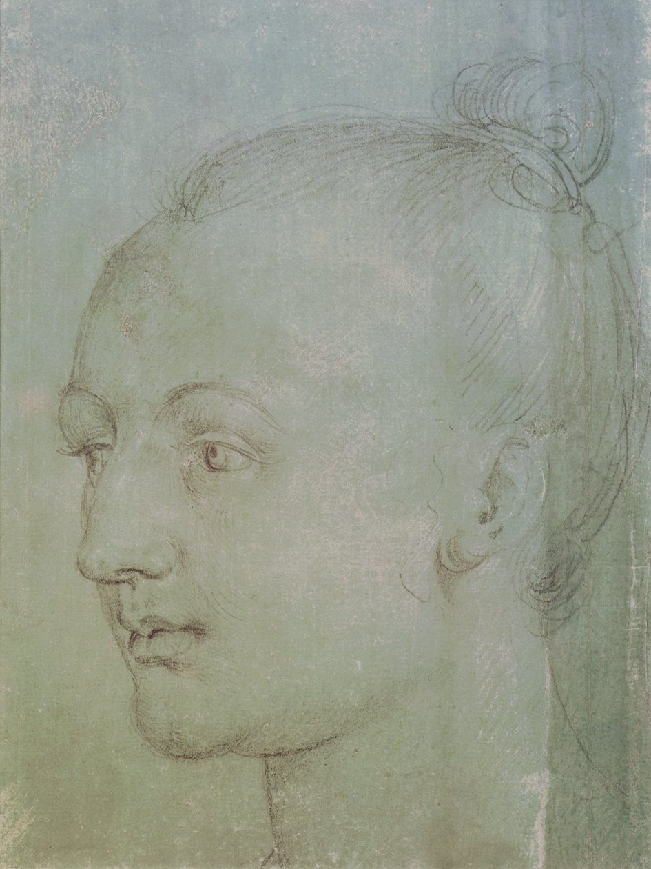 Testa di una giovane donna da Albrecht Dürer