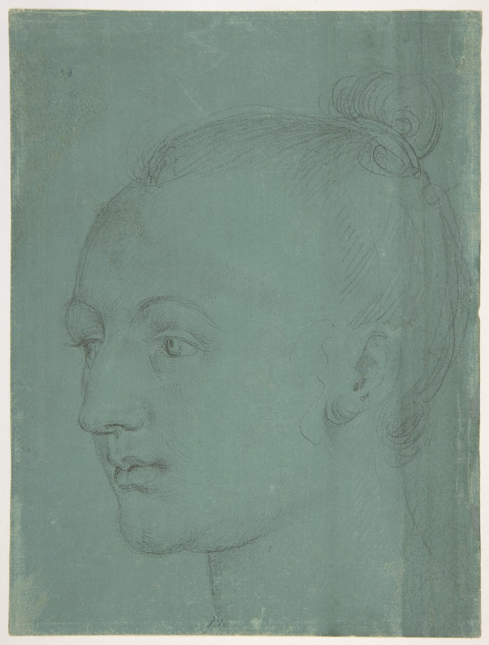 Testa di una giovane donna da Albrecht Dürer