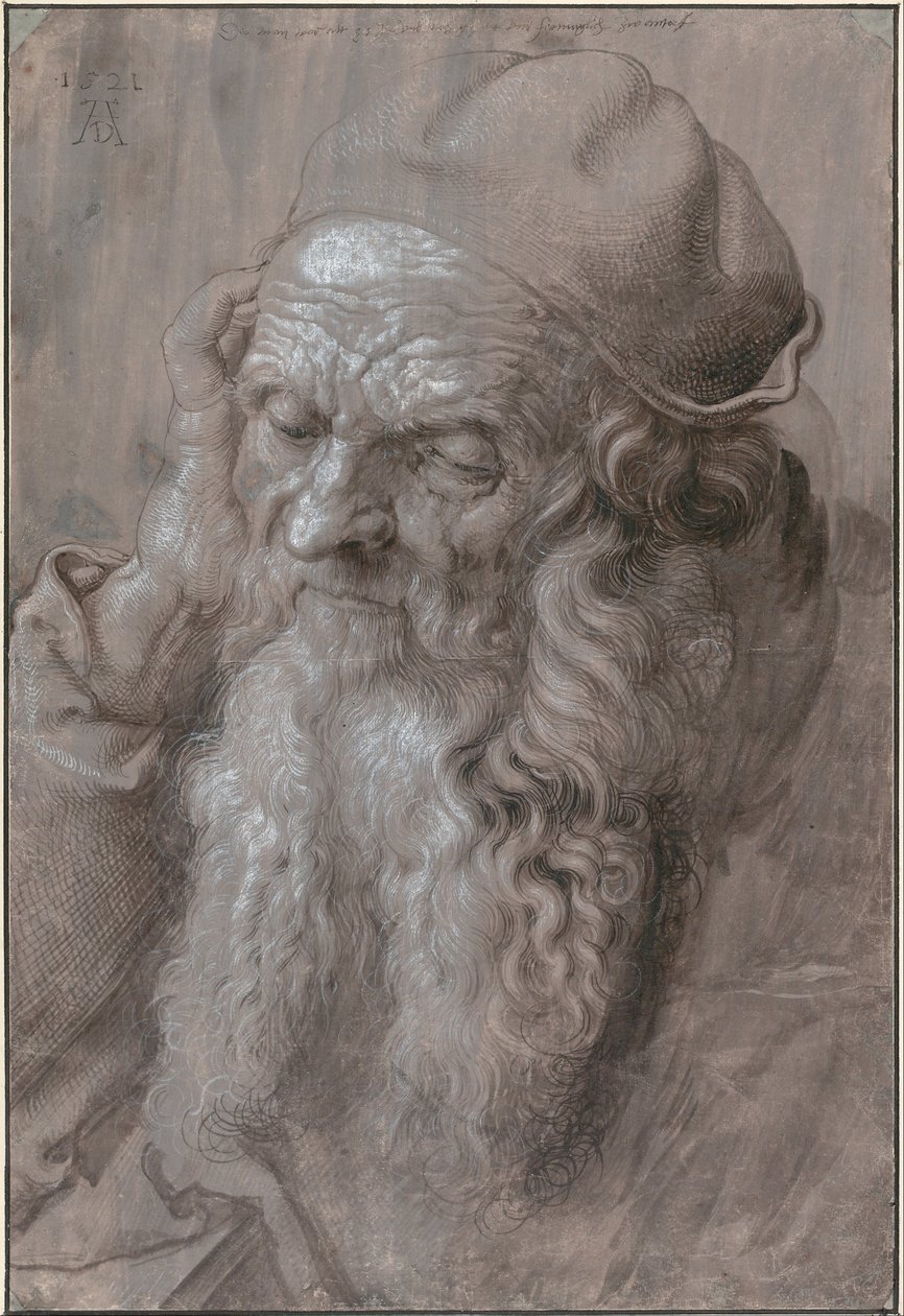 Testa di un vecchio da Albrecht Dürer