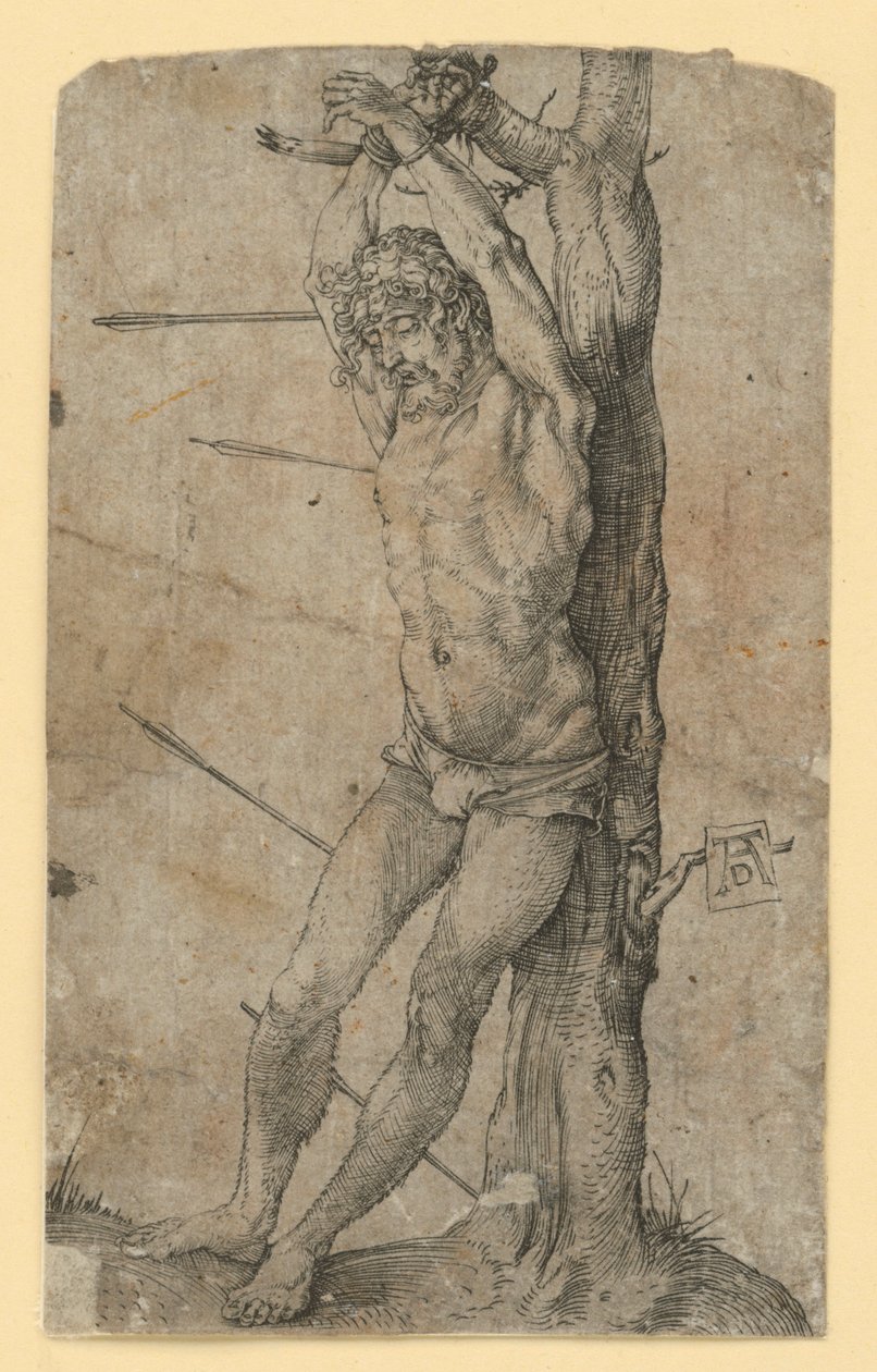 San Sebastiano legato a un albero da Albrecht Dürer