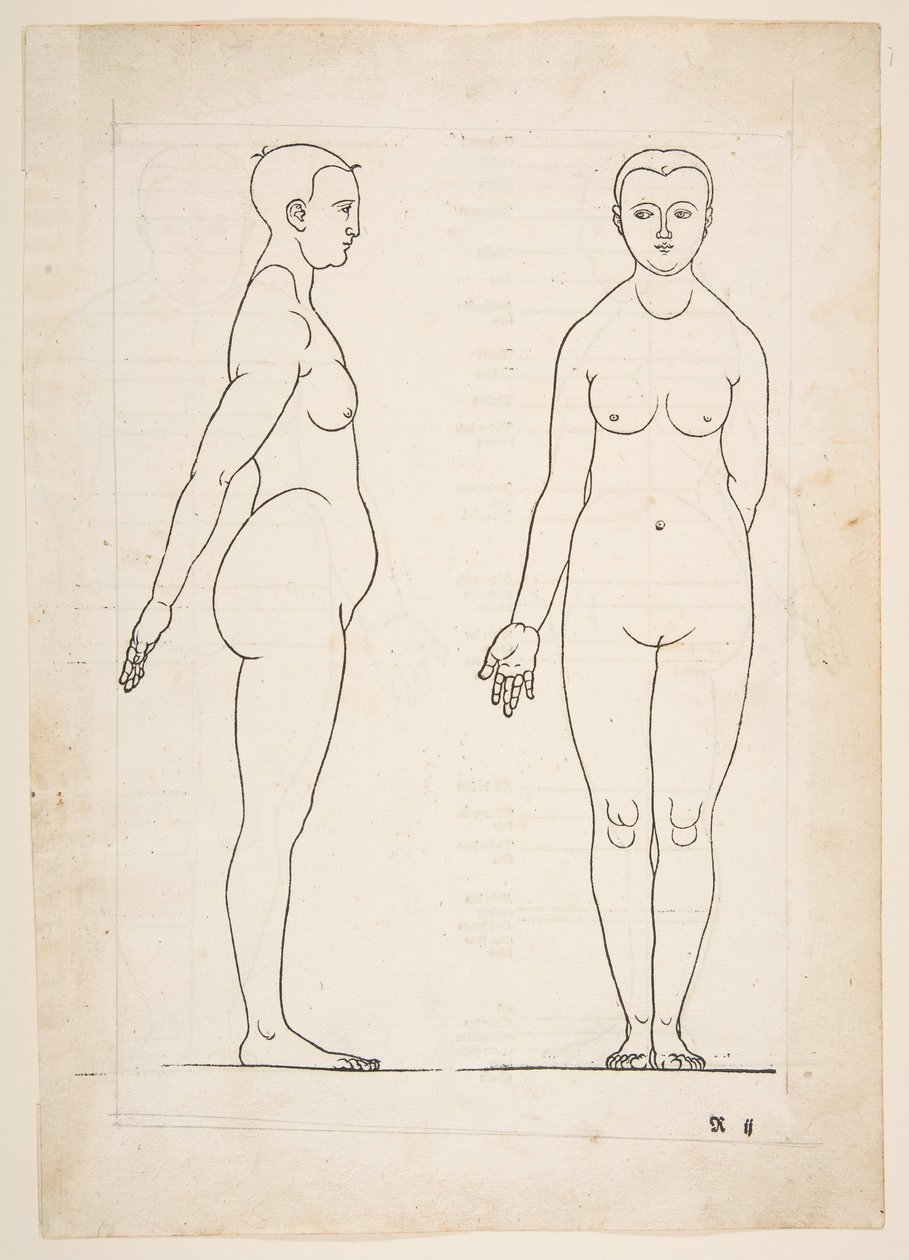 Illustrazione da Dürers Vier Bucher von Menslicher Proportion, Norimberga da Albrecht Dürer