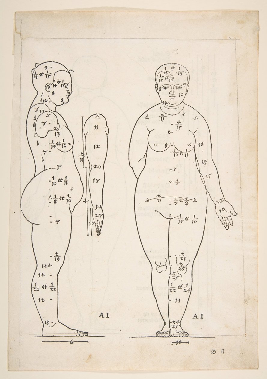 Illustrazione da Dürers Vier Bucher von Menslicher Proportion, Norimberga da Albrecht Dürer