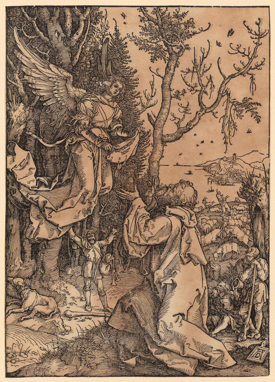 Giacomo nei campi, foglio 3 della serie "La vita di Maria" da Albrecht Dürer