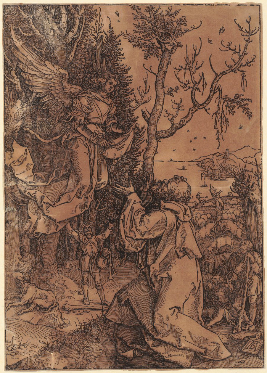 Gioacchino nel campo, tavola 3 della serie "La vita della Vergine" da Albrecht Dürer