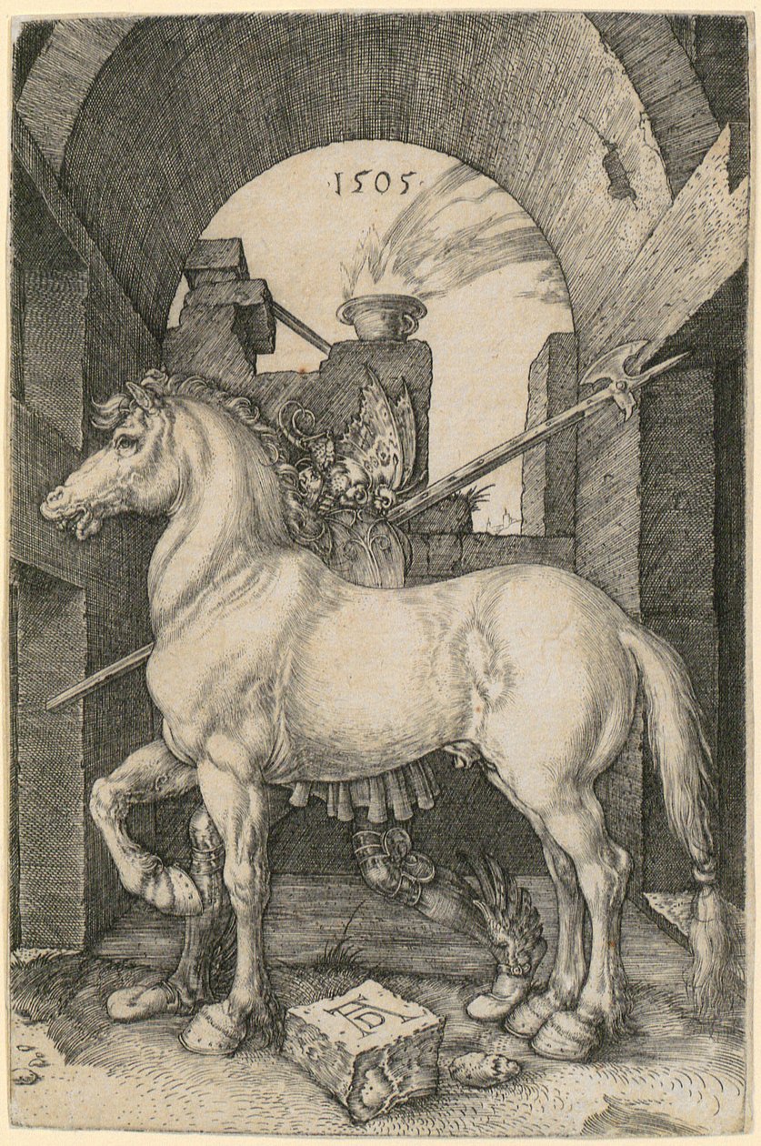 Cavallino da Albrecht Dürer
