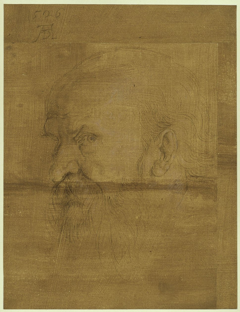 Testa dell