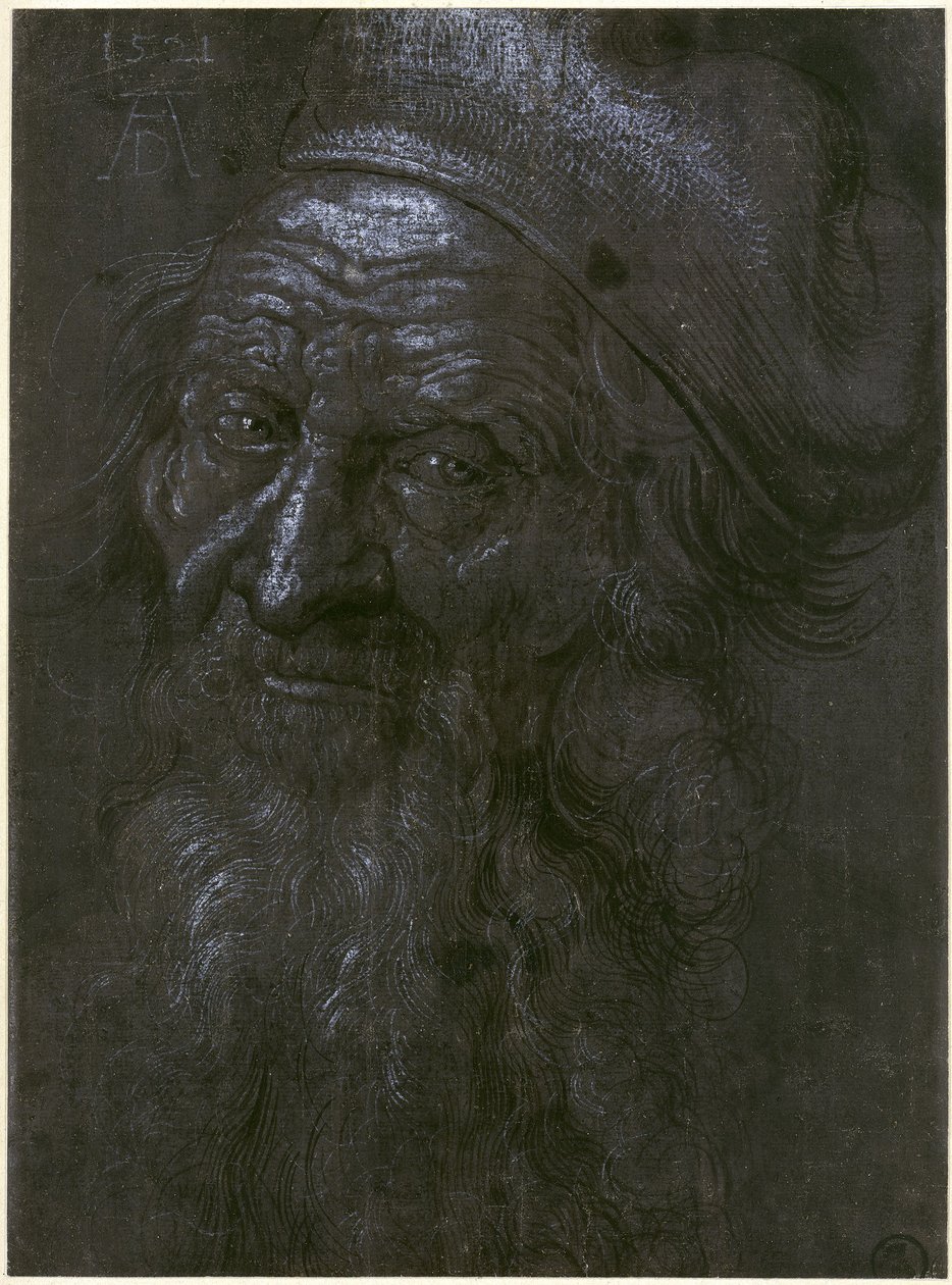 Testa di un uomo di 93 anni da Albrecht Dürer