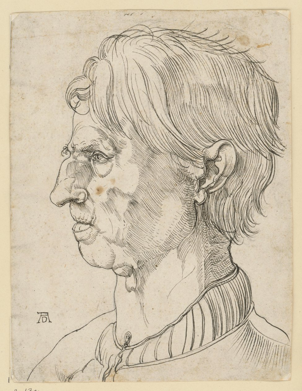 Testa di un anziano uomo senza barba, di profilo verso sinistra da Albrecht Dürer
