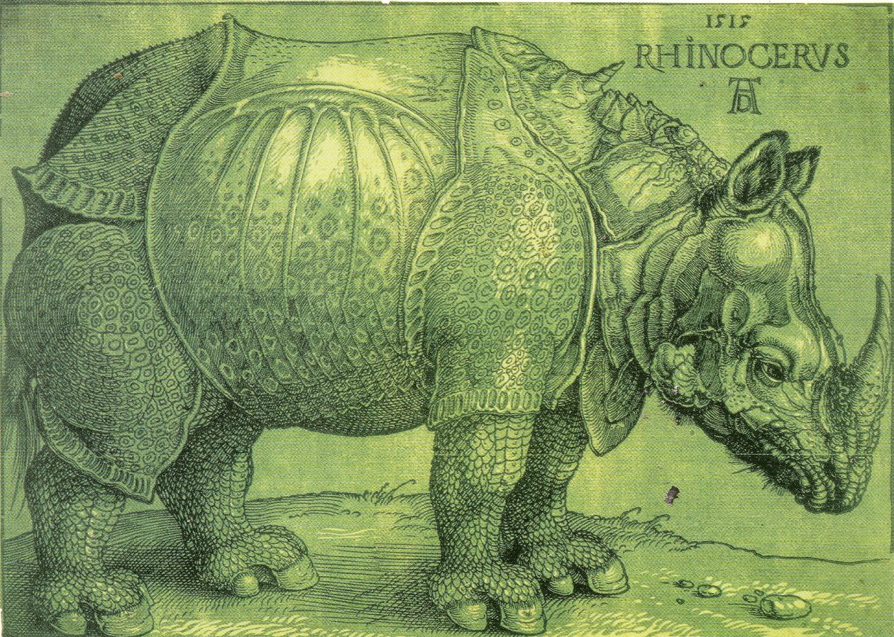 Latino:  Rhinocerus Il rinoceronte da Albrecht Dürer