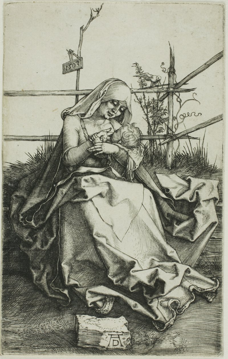 Madonna su una sponda erbosa da Albrecht Dürer