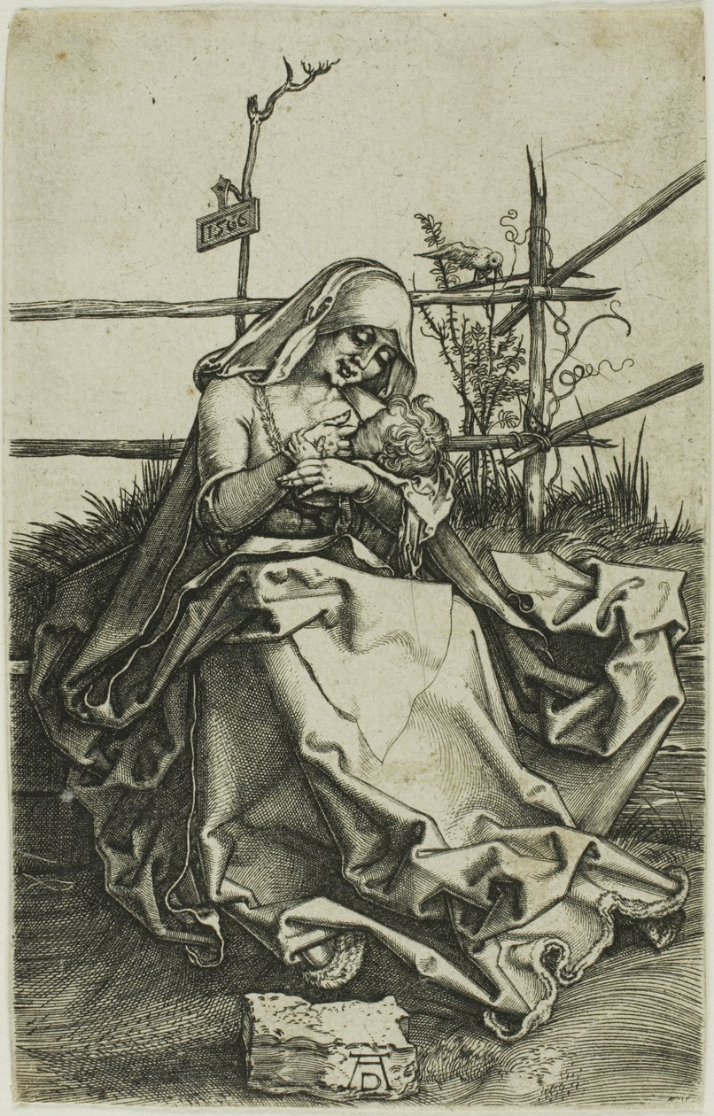 Madonna su una riva erbosa da Albrecht Dürer