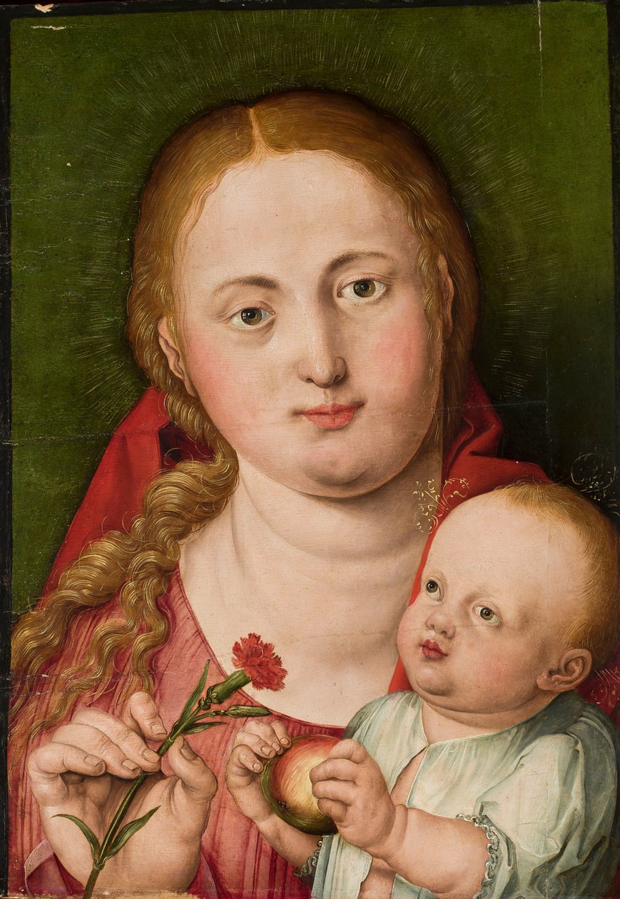 Madonna con il Bambino e un garofano da Albrecht Dürer