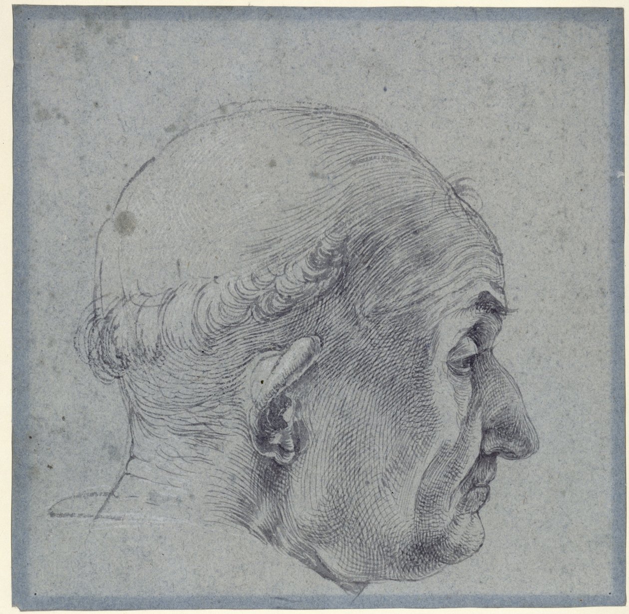Testa maschile di profilo da Albrecht Dürer