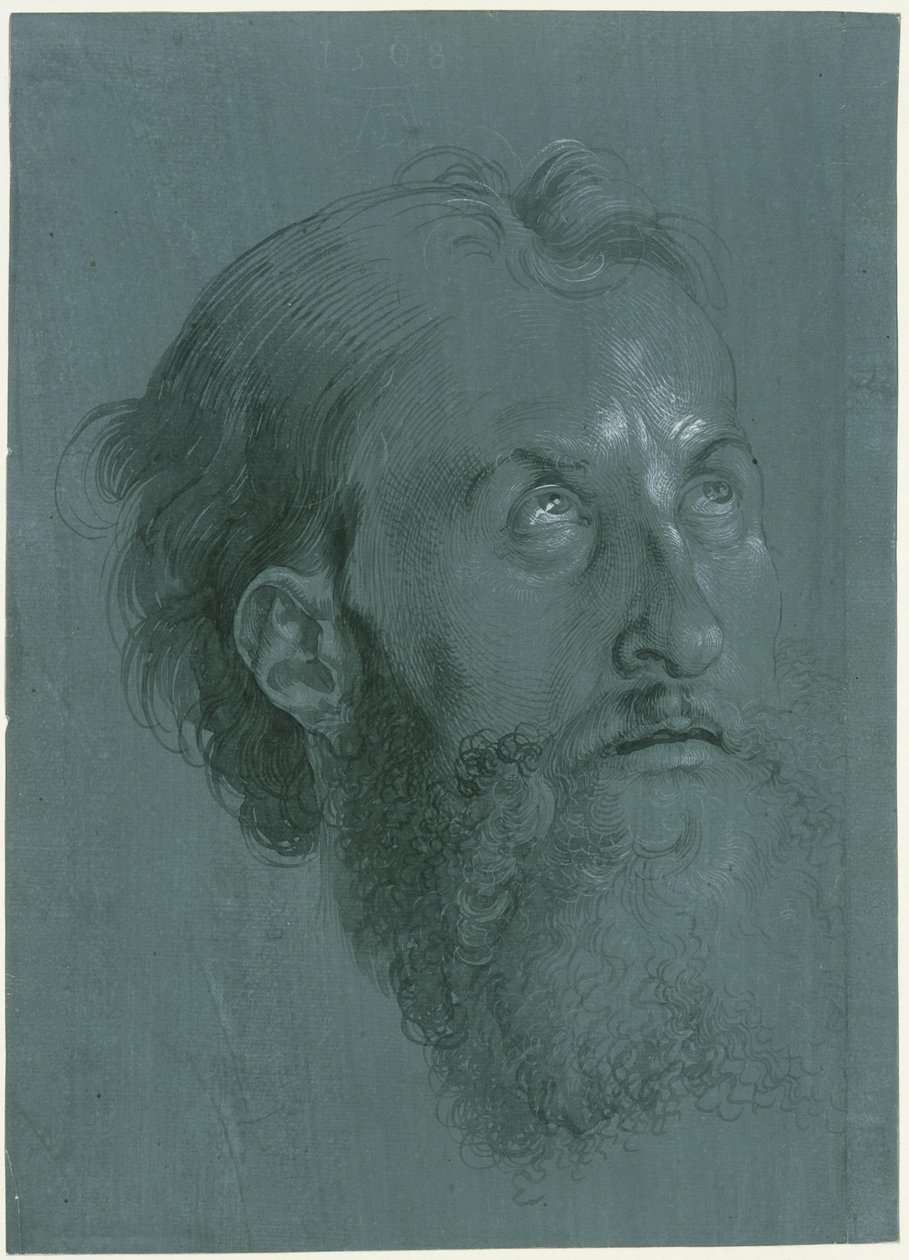 Testa di apostolo rivolta a destra da Albrecht Dürer