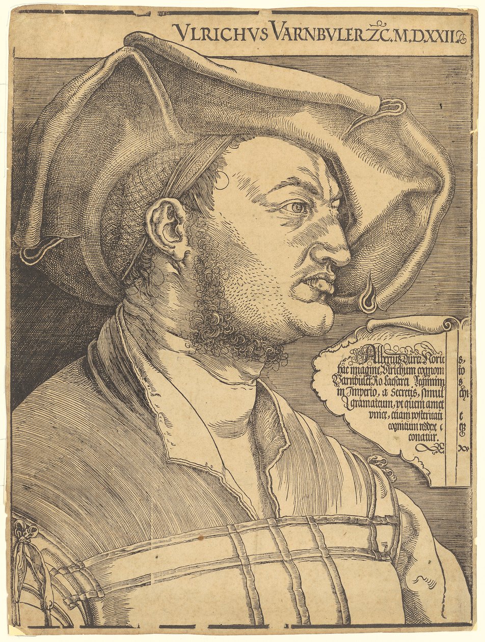 Ritratto di Ulrich Varnbüler da Albrecht Dürer