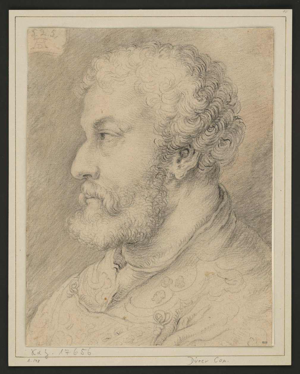 Ritratto di profilo di Raymund Fugger? da Albrecht Dürer