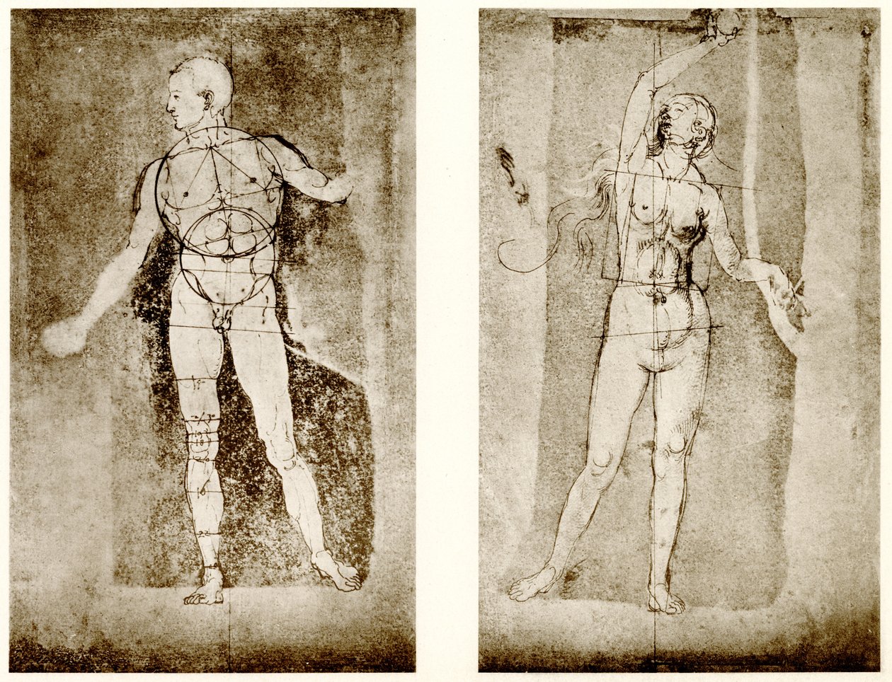 Studio di proporzioni su Adamo ed Eva da Albrecht Dürer
