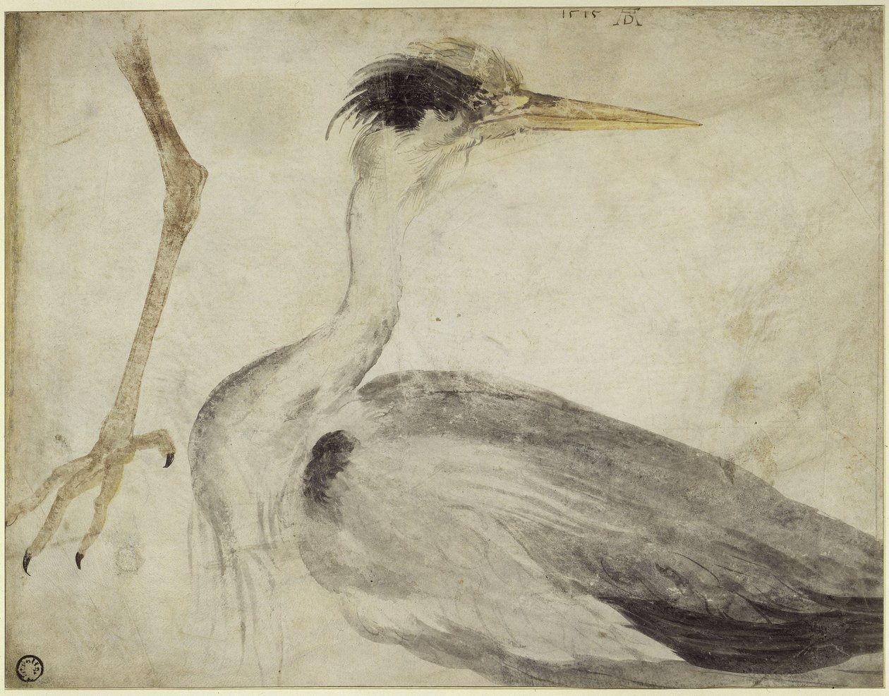 airone da Albrecht Dürer