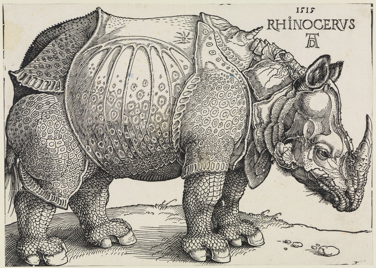 Rhinocerus (Il rinoceronte) da Albrecht Dürer