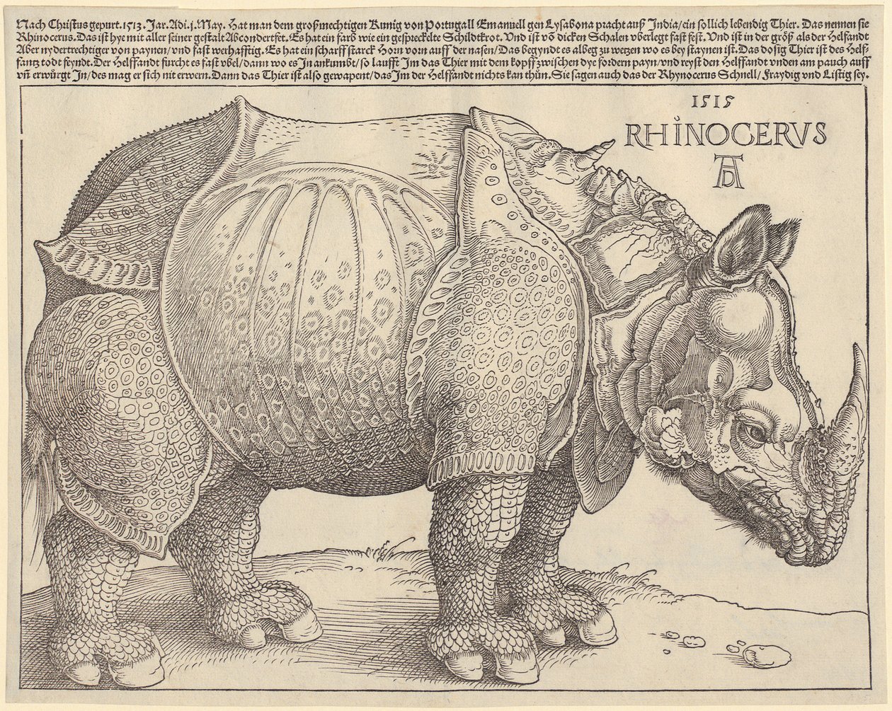 Rinoceronte da Albrecht Dürer