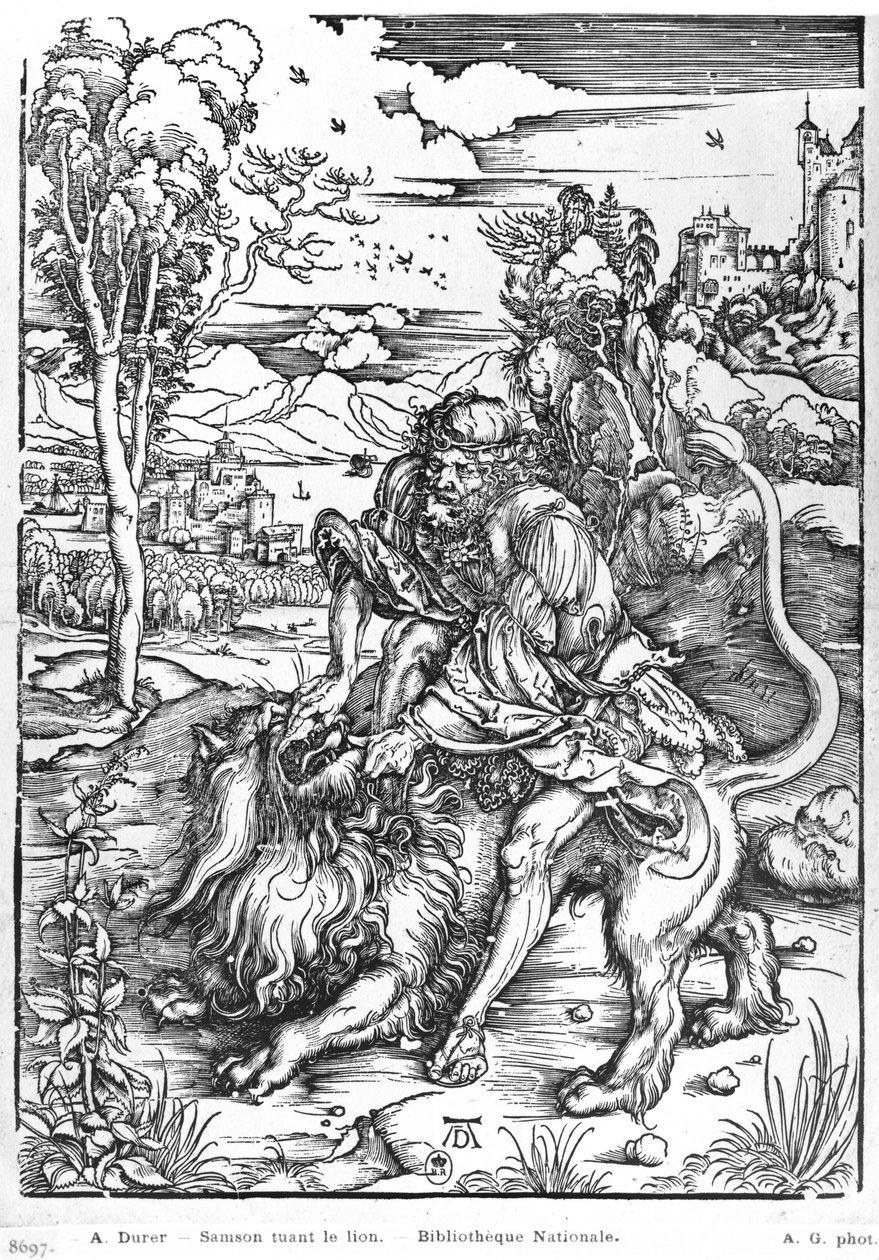 Sansone che uccide il leone, c.1496-98 da Albrecht Dürer